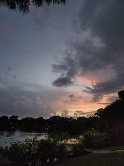 The image depicts a twilight scene over a body of water, likely a lake or canal, bordered by dense foliage and silhouetted trees. The sky is dominated by dramatic clouds, displaying hues of gray, purple, and soft pinks and oranges from the setting sun. In the foreground, there is a sign with red lettering on a white background, partially obscured by vegetation. The text on the sign appears to warn of potential dangers, with the word "CAUTION" clearly visible, followed by smaller text that might read "DANGEROUS WILDLIFE MAY BE PRESENT." The water's surface reflects the sky and the distant lights from what appears to be structures or pathways along the opposite bank. The overall atmosphere is serene and slightly somber due to the fading light. The location is specified as being in Winter Park, United States of America, suggesting a natural or park-like setting within a city.
