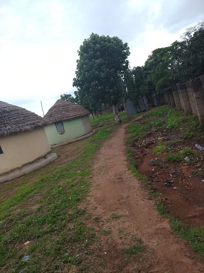 The image depicts a village scene in Barikin Sibre, Nigeria, under an overcast sky. Two round, thatched-roof huts are visible in the foreground. The hut on the left is painted a light beige, while the hut on the right is a pale green with a small, dark window. A dirt path runs diagonally through the center of the image, leading into the distance. To the right of the path, a concrete wall with vertical supports runs along the edge of the property, and beyond the wall, dense green trees and foliage are present. The ground along the path and the edge of the property shows some debris, including plastic bags and dried leaves. The overall environment appears to be rural and somewhat unkempt.