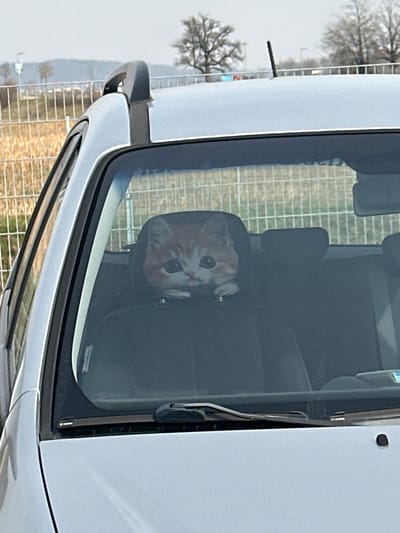 A static, eye-level photograph depicts the front-left section of a light-colored vehicle, likely silver, parked in Jestetten, Germany, under an overcast sky. A prominent decorative item resembling the head of an orange and white tabby kitten with large dark eyes is visible through the front windshield, positioned atop the headrest of the front passenger seat. The kitten's face is rendered realistically, possibly a cushion or cutout. A roof rack is partially visible above the driver's side window. Windshield wipers rest at the base of the windshield. In the background, a brown-orange fence separates the vehicle's immediate surroundings from an open field. Beyond the field, several bare deciduous trees are visible on a distant horizon, indicating a colder season. No individuals are present in the frame, and no actions are occurring.