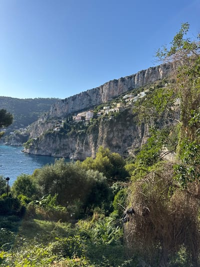 The image displays a panoramic coastal landscape in Cap-d'Ail, France, under a clear, bright blue sky with a faint contrail visible in the upper-left. Dominating the mid-ground and background are steep, light-colored limestone cliffs, extending horizontally across the frame. Numerous light-colored villas and houses with red-tiled roofs are visible, built into and upon these cliffs, primarily concentrated in the middle-right section and receding towards the left.

The deep blue Mediterranean Sea occupies the lower-left quadrant, forming a cove or bay. Several small, white boats are anchored within this body of water. The foreground is densely vegetated with various green plants, including larger trees resembling olive trees, bushes, and overgrown foliage. On the right side of the foreground, a significant mass of dry, light-brown, interwoven branches is prominent. A dark, irregularly shaped object, possibly a bag or bundled fabric, is caught within these dry branches. A dark, slender, pole-like object is partially visible amidst the green foliage in the lower-left foreground. No individuals are present in the scene.