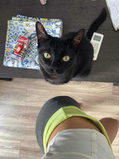 A black cat with green eyes looks up from a table, which is also occupied by a white remote control, a notebook, a floral napkin, and a pack of cigarettes. A person's leg is visible on the right side of the image, wearing exercise attire. The scene is set in what appears to be a home in Paiporta, Spain.