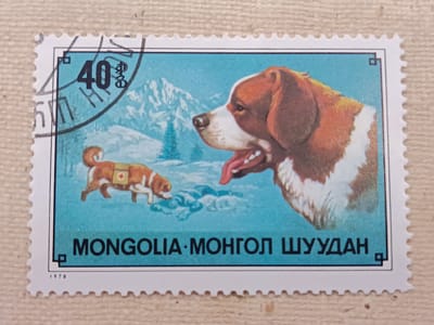 This is a close-up, eye-level photograph of a postage stamp. The stamp features a blue sky with snow-capped mountains and evergreen trees in the background. In the foreground, two dogs are depicted. The larger dog, a Saint Bernard, is shown in profile on the right side of the stamp, with its mouth open and tongue hanging out. On the left side, a smaller dog, also a Saint Bernard, is shown with a red cross emblem on its saddlebag. The stamp has a white border with perforated edges. The text on the stamp reads "MONGOLIA MONГОЛ ШУУДАН" and the year "1978" is also visible. The stamp is placed on a textured surface that appears to be fabric. The location in the city of Onaldy, Turkmenistan is not depicted or suggested by any elements in the image.