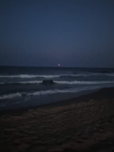 The image shows a nighttime beach scene in Tavernes de la Valldigna, Spain. The sky is a deep, dark blue. A small, reddish-pink moon is visible in the sky above the horizon. The sea is dark, with white-capped waves rolling towards the shore. The beach in the foreground is dark and appears to be made of sand, with some texture suggesting ripples or footprints. There are no people or animals visible in the image.