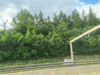 The image depicts a view from a moving vehicle on a highway, looking towards a dense, green hillside covered in trees. The foliage is lush and varied, with a mix of deciduous and coniferous trees. A white overhead gantry structure, likely for traffic monitoring or signage, is visible on the right side of the frame. A metal guardrail runs along the side of the highway, separating the road from the hillside. The sky above is partly cloudy, with patches of blue sky visible amongst the grey clouds. The scene appears to be a natural landscape alongside a transportation route. The image is likely taken in or around Gloggnitz, Austria, given the context provided. There are no people or specific actions captured in this static view.