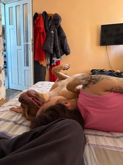 A woman and a dog are lying on a bed with a blue and white striped bedspread. The woman is wearing a pink tank top and a gray sweatshirt. Her left arm has a tattoo. The dog is light brown and white and lying on its back with its paws up. The dog's mouth is open. In the background, there is a TV on the wall, and a pile of coats and jackets are hanging on a rack near a sliding door. The specific location in the city of Mihailovo, Bulgaria is not discernible from the image.