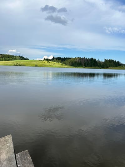 This media file depicts a wide, calm body of water, likely a lake or river, on a partly cloudy day. The water's surface is rippled, reflecting the pale blue sky and the dark green of a dense forest that lines the far bank. To the left of the water, a grassy slope rises, dotted with scattered trees and leading up to the forest. The sky is a mix of bright blue patches and soft, wispy white clouds, with a few darker, more defined clouds in the distance. The overall impression is one of tranquility and natural beauty. The scene appears to be a daytime shot, possibly late morning or early afternoon, given the brightness of the sky. There are no people or discernible objects in the water or on the land, emphasizing the natural landscape. In the lower right corner, a fragment of a wooden structure, possibly part of a dock or pier, is visible, suggesting a point of access to the water. The location is identified as Верх-Рождество, Russia, which provides geographical context for this serene waterscape.