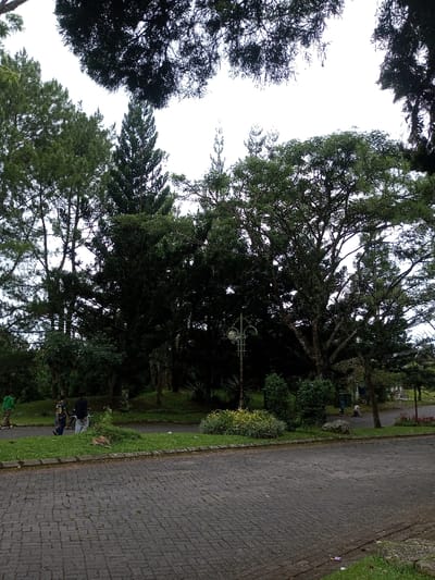 A park scene with tall trees framing the sky. A brick-paved road stretches into the distance. People are walking along a grassy area next to the road. A decorative lamp post stands among the trees. The overall lighting suggests a cloudy day.