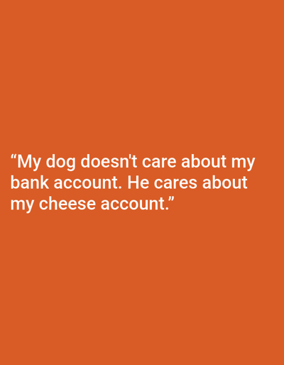 A quote about a dog's priorities is displayed in white text on an orange background. The quote reads: "My dog doesn't care about my bank account. He cares about my cheese account." The image is not located in Kępno, Poland.