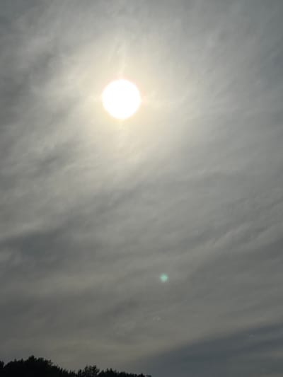 The image shows a wide shot of a sky filled with clouds. The sun is a bright, white orb in the upper left quadrant of the image, partially obscured by thin clouds. A faint, greenish light artifact is visible in the middle right of the sky. The bottom of the image is bordered by a dark silhouette of trees, suggesting a landscape scene. The overall lighting is diffuse due to the cloud cover, creating a somewhat muted and hazy atmosphere. The image was taken in the vicinity of Павлодарское, Kazakhstan.