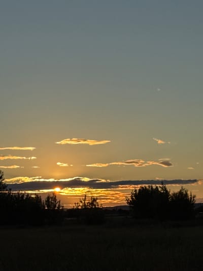 The image captures a sunset over a rural landscape, likely outside the city of Bolgar, Russia. The sun is low on the horizon, casting a warm golden light that illuminates scattered clouds. Silhouetted trees and a dark, grassy field occupy the foreground, suggesting the scene is viewed from a low vantage point. The sky transitions from a pale blue at the top to a gradient of orange and yellow near the horizon. There are no people or discernible man-made structures in the immediate view, emphasizing a natural, tranquil setting.