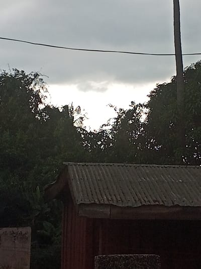 This image depicts an exterior scene in Konongo, Ghana, under an overcast sky. The upper portion of the frame is filled with dark grey clouds, featuring a horizontal band of brighter, diffuse light breaking through the cloud cover in the mid-upper section. A thin, dark utility line extends horizontally across the upper third of the image. To the far right, a dark, vertical pole, possibly a utility pole or tree trunk, rises into the sky.
The middle ground is occupied by dense, dark green foliage from trees or bushes, silhouetted against the brighter sky. In the lower midground, a rudimentary building is visible, featuring a weathered, dark grey corrugated metal roof with prominent undulations. Below the roofline, a section of the building's reddish-brown wall is present. The roof shows signs of wear, including dirt or minor corrosion.
In the lower left foreground, a portion of a light-colored concrete block wall is visible. To the lower right, a dark, textured block-like object is partially visible. No individuals are present, and no specific actions or interactions are occurring. The lighting suggests natural daylight under overcast conditions.