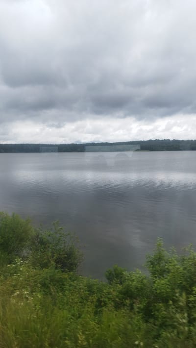 The image shows a wide body of water, likely a lake or river, under a heavily overcast sky. The water's surface is rippled, reflecting the muted light. In the distance, a dark, tree-covered shoreline stretches across the horizon. The foreground is filled with lush green vegetation, including bushes and tall grasses, suggesting a natural landscape. There are no visible people or specific man-made structures, apart from what appears to be a faint, rectangular reflection or possibly a distant structure on the far shoreline, obscured by the light. The overall scene is serene and natural, with a cool, somber atmosphere due to the cloudy weather. The specific location in Toksovo, Russia is not discernible from the visual elements present in the image.