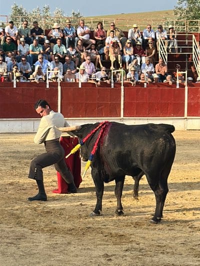 The image captures a bullfight in progress, likely in the city of San José del Valle, Spain. A matador, dressed in traditional attire with a beige top and dark pants, is engaged with a black bull. The bull has decorative banderillas attached to its back. A red cape is partially visible. They are in a sandy arena enclosed by a red barrier, behind which spectators are seated on tiered rows. The sky is bright, indicating it is daytime.