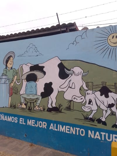 The image shows a mural painted on a building in Municipio Tarija, Bolivia. The mural depicts a pastoral scene with cartoon-style figures. A girl in a hat and green dress stands next to a silver milk can. A boy wearing a hat and blue shirt sits on a stool, apparently milking a black and white cow. A calf stands nearby. In the background are green hills, a wooden fence, a cartoon sun with a smiling face, and a cloud. The text "EÑAMOS EL MEJOR ALIMENTO NATUR" is painted in white letters on a blue band at the bottom of the mural. Above the mural, there is a corrugated roof with barbed wire. The ground is visible at the bottom.