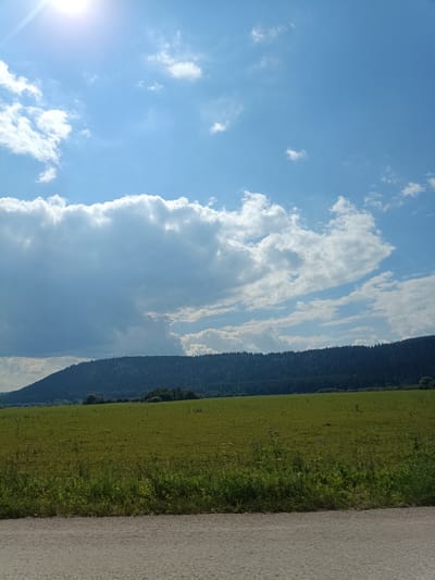 The image depicts a rural landscape under a bright, partly cloudy sky. The sun is visible in the upper left corner, casting a glare. A vast expanse of green field dominates the lower half of the image, with a line of dark green trees forming a dense forest along the horizon, covering a gently sloping hill. In the foreground, a strip of dirt or gravel road runs horizontally across the bottom. The sky is a vibrant blue, populated by fluffy white clouds, some of which are large and dramatic, casting shadows on the landscape below. The overall scene suggests a natural, tranquil environment, possibly in the countryside near Ust-Kishert, Russia, given the provided context. There are no people or animals visible in the frame. The atmosphere appears to be daytime, with good visibility.