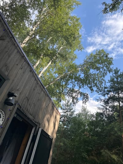 The image captures a close-up view of a wooden structure, possibly a cabin or a small house, with a weathered facade. Above the structure, a canopy of lush green trees, including birch trees with their distinctive white bark, dominates the frame, reaching towards a bright blue sky dotted with fluffy white clouds. The trees are dense and leafy, suggesting a summer or early autumn setting.
On the side of the wooden structure, a black motion-sensing security light is mounted. Along the edge of the roof, a string of small, blue LED lights is visible, adding a festive or decorative touch. A portion of an open doorway reveals a dark interior, with what appears to be a wooden beam inside. To the left of the doorway, a circular emblem with some text is partially visible.
The overall scene suggests a natural, perhaps semi-rural or recreational environment, likely situated amidst a wooded area. The image quality is good, with clear details and natural lighting, indicating it was taken outdoors during daylight hours. The perspective is upward-looking, emphasizing the trees and sky above the structure. While the image does not explicitly depict the city of Krasnoyarka, Russia, it is consistent with the natural landscapes found in and around such a location, characterized by forested areas and wooden dwellings. There are no people visible in the image.