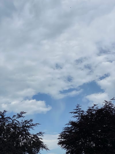 The image is a vertical, medium-shot photograph of a sky with clouds and the upper branches of trees in the foreground. The sky is predominantly filled with overcast clouds, with patches of blue sky visible. There are several small, dark objects visible in the sky, which could be birds or insects. The trees in the foreground are silhouetted against the sky, with dark, dense foliage. The scene appears to be outdoors, likely in a park or garden. The location is identified as Lütjenwestedt, Germany.