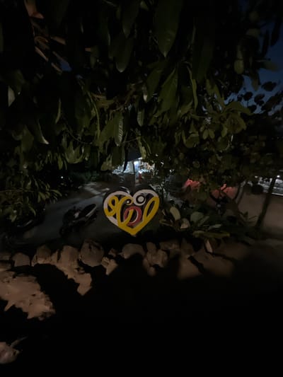A colorful heart-shaped artwork with black, yellow, red, and white patterns is displayed outdoors at night. It's positioned among lush green foliage and dark, rough-textured ground, possibly stones or rocks. The artwork appears to be a decorative object, potentially part of a public installation or private garden.
In the background, blurred lights suggest a street or inhabited area, hinting at an urban or semi-urban setting. The darkness of the image indicates it was taken after sunset, possibly in the evening or late at night. There are no people clearly visible, but the presence of distant lights and the general scene suggest a tranquil, possibly serene, atmosphere. The artwork itself, with its bold colors and heart shape, might evoke feelings of love, culture, or art.
The location context of Karimunjawa, Indonesia, provides an island setting, which could mean the foliage is tropical and the surrounding area is coastal or near the sea. However, no specific geographical features of Karimunjawa are directly identifiable from the image itself. The weather appears to be clear, as there are no signs of rain or overcast skies. The image is devoid of any visible text.