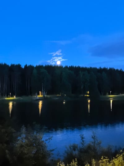 This media file captures a serene nocturnal scene at a lake in Sergiyev Posad, Russia. The primary subjects are the tranquil lake, a dense forest lining its shore, and the moon shining brightly in the deep blue night sky. A few subtle lights, possibly from lamps or buildings, dot the shoreline, and their reflections shimmer on the dark water, creating streaks of golden light. In the foreground, the dark silhouettes of bushes and foliage are visible.

The activity or event taking place is implied to be a quiet evening by the lake. There are no people actively engaged in activities, but the presence of lights suggests human presence or habitation nearby. The time of day is clearly night, indicated by the darkness, the bright moon, and the illuminated artificial lights. The weather appears calm, with the lake's surface showing only gentle ripples. The location is identifiable as Sergiyev Posad, Russia, based on the provided context. The overall mood evoked by the image is one of peace, tranquility, and natural beauty, enhanced by the dramatic contrast between the dark landscape and the luminous moon. There is no visible text in the media file.