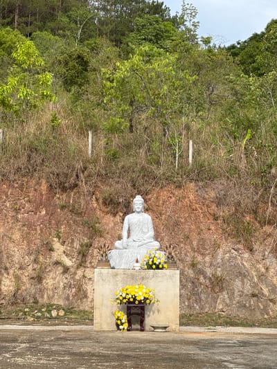 The image shows a white statue of a seated figure, likely a Buddha, placed on a concrete platform along a roadside. Two arrangements of yellow and white flowers are on the platform. The road is made of grey concrete. The statue is positioned on a hillside covered with dry grass, scrub vegetation, and a few larger green trees. The hillside leads into a more densely forested area on the left side of the image. This photograph was likely taken in Liên Nghĩa, Vietnam, given the location context provided.