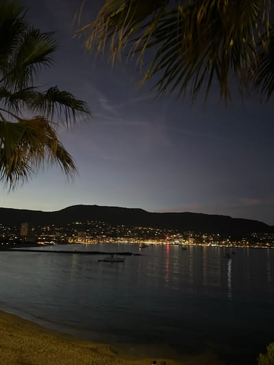 The image captures a twilight view of the coastal town of Bormes-les-Mimosas, France. The foreground is dominated by the silhouettes of palm fronds against a deep blue sky, indicating evening. Below, a calm body of water reflects the distant lights of the town, which is nestled at the foot of a dark, mountainous backdrop. The town's buildings are illuminated, creating a warm glow along the coastline. Several boats are visible on the water, including a sailboat. A sandy beach lines the bottom left of the frame. The overall scene is serene and picturesque, characteristic of a Mediterranean evening.
