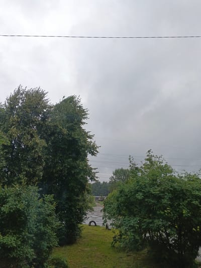 This media file captures an outdoor scene on an overcast day. The dominant subjects are lush green trees and bushes in the foreground, with a wider view of an open area behind them. In the background, a paved surface, possibly a road or parking lot, is visible, with a single tire lying on its side on the grass next to it. Utility lines are strung across the sky, suggesting the presence of infrastructure.
The weather appears to be cloudy and possibly damp, contributing to the muted lighting of the scene. The time of day is unclear due to the overcast conditions, but the overall mood is subdued and natural. There are no people or animals visible in the frame. The setting appears to be a semi-rural or industrial area, given the presence of the utility lines and the paved area with the tire. No text is discernible within the image.