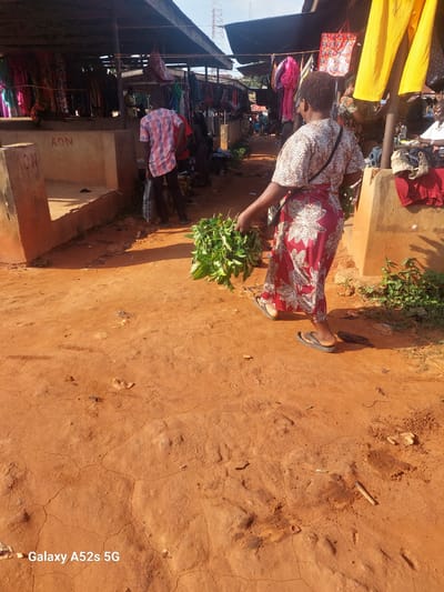 In Umudioka, Nigeria, a woman walks through a bustling outdoor market. She is carrying a bundle of leafy green vegetables in her left arm. She wears a patterned white and black blouse and a red and white floral print skirt, along with a pair of dark flip-flops. Her hair is short and dark.
The market stalls are set up under a weathered, tin roof. Various textiles, including colorful fabrics and bright yellow garments, hang from racks and poles. Several people are visible in the background, browsing or working at the stalls. The ground is covered in reddish-brown earth, cracked and dry, with scattered debris. A man in a pink patterned shirt is seen in the left of the frame, facing away from the camera. The overall atmosphere suggests a typical day of commerce in a Nigerian market. The image is branded with "Galaxy A52s 5G" in the bottom left corner.