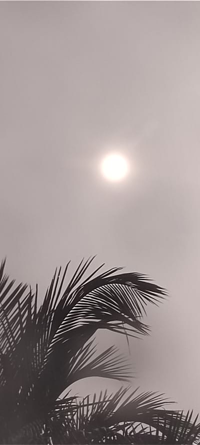 The image shows a black and white scene under a bright sun. A palm tree is in the foreground. The image appears to be taken on a hazy day. The location, Matangpanyang, Indonesia, is not visually confirmed within the image.