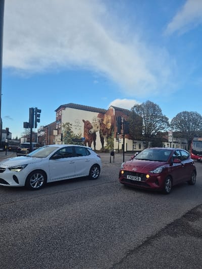 This image depicts a daytime urban street scene at a road junction in Hereford, United Kingdom, specifically featuring the "Hereford Bull" mural located on a building at Commercial Road/Blueschool Street. The prominent mural covers the side of a two-story building, portraying three Hereford cattle (two adults and a calf) amidst green foliage on a light background.
The sky is largely blue with scattered white cirrus and stratocumulus clouds. In the foreground, two passenger vehicles are present on an asphalt road surface. On the left, a white five-door hatchback, consistent with a Vauxhall Corsa, is positioned angled slightly right. To its right, a red five-door Hyundai i10 hatchback, bearing the UK registration plate "FH21 YCD," is angled slightly left, with its right-side indicator lights illuminated. Both vehicles appear to be stopped or moving slowly at a junction.
Traffic light poles are visible in the mid-ground. A red bus is partially visible in the far right background, behind the red car. Further down the street, additional buildings and trees with sparse foliage are discernible. No specific individuals are clearly identifiable.