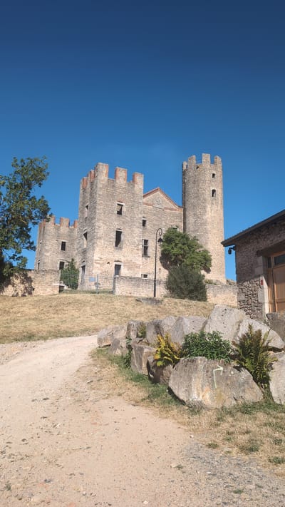 A daytime, low-angle, exterior, full shot shows a medieval castle constructed of stone and brick under a clear blue sky. The castle is situated on a grassy hill, with a dirt path leading up to it. In the foreground, several large rocks are piled together, with some greenery growing between them. To the right of the castle, a section of a stone building with a wooden door is visible. The castle itself features multiple towers and battlements, with numerous empty window openings. A tree with green foliage stands to the left of the castle, and another smaller, bush-like tree is situated in front of the castle walls. A lamppost with a curved arm stands near the center of the image, adjacent to the castle. There is no visible evidence of human activity or presence. This is a view of the Château de Chambles, located in Chambles, France.