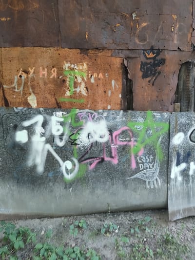 This image captures a section of an urban environment in the city of Быково, Russia. The scene is horizontally divided into two primary sections by a weathered barrier. The upper section consists of multiple panels of heavily rusted sheet metal, exhibiting various shades of brown and orange, consistent with advanced corrosion and material degradation. Faint graffiti on the upper panels includes partially legible Cyrillic letters, such as "УНЯ" in faded pink on the left, and a black spray-painted abstract shape topped with a yellow crown on the right.

The lower section of the image features a grey concrete or metal barrier, extensively covered with multiple layers of graffiti in various colors and styles. Prominent markings include large white spray-painted characters, such as a "7" and a "Б," along with applications of pink and green spray paint, and black scribbles. Centrally, a green spray-painted star or pentagram shape is visible. Above and below this star, white Cyrillic text reads "Ондрианы нам канон" and "мысли, а не, про бог," respectively. To the right of the star, the English phrase "LAST DAY" is spray-painted in white, adjacent to a simple white outline drawing of a tall, bird-like creature. Further to the right, a large white letter "К" is discernible.

The ground below the barrier is unkempt, composed of dry soil with sparse green vegetation and small plants. The scene is illuminated by natural daylight. No people, animals, or active interactions are depicted within the frame.