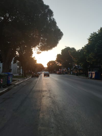 A wide, paved road stretches into the distance under a pale, clear sky, suggesting early morning or late evening. The setting sun casts a warm, golden light, highlighting the road's surface and the shadows of trees lining the left side. Large, mature trees with dark foliage dominate the left foreground and middle ground, their branches creating a dappled canopy.
Along the left side of the road, several large, blue and green trash bins are visible. Adjacent to them is a building with a light-colored facade. A row of parked motorcycles and scooters is present on the left side of the road.
The road itself appears to be a main thoroughfare, with one lane clearly visible in the foreground, and other vehicles further down the road. A dark-colored car is in the center lane, approaching the viewer, its headlights off. Further ahead, the road curves slightly, with more trees and buildings on either side, some with awnings over storefronts. Traffic lights are visible in the distance. The right side of the road features more trees and what appear to be businesses or restaurants with outdoor seating areas.
The overall impression is a quiet street scene in Alexandroupolis, Greece, during a time of day with low sun.