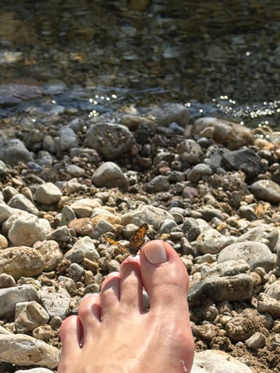 A close-up, low-angle shot shows a person's bare left foot and toes in the foreground, resting on a rocky shore. The skin of the foot is lightly tanned and appears wet. A small butterfly with orange and black markings is perched on the big toe, with its wings slightly raised. Behind the foot, the shore is covered in various sizes of smooth, rounded stones. The water of a river or lake is visible in the upper portion of the image, with sunlight glinting off its surface. The overall scene suggests a natural outdoor environment, possibly near Crna Poda, Montenegro, during a sunny day.