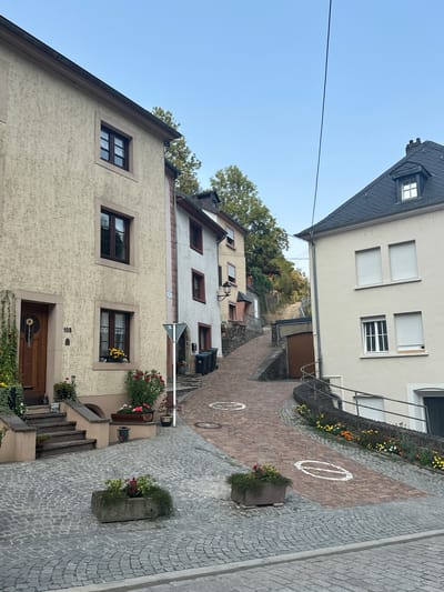 A paved street in Vianden, Luxembourg, curves uphill between residential buildings. On the left, a three-story building with a tan, textured facade has a wooden door with a circular decorative element and the number "108" above it. Steps lead up to the door, flanked by potted plants and a small statue. Adjacent to this building, a narrower, white-walled building with red-trimmed windows is visible. On the right, a cream-colored building features several windows with white rolling shutters and a steeply pitched dark roof. A metal railing lines the edge of the sidewalk in front of this building, which is adorned with flowerbeds. The street itself is paved with cobblestones in the foreground and red brick further up, marked with white circular symbols. Trees and foliage are visible on the hillside behind the buildings, and the sky is clear and blue.