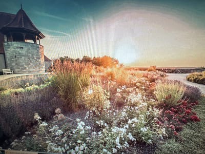 The image depicts a garden with a stone tower and a pitched roof building, likely a historical structure, set against a hazy sky. The garden features a variety of plants, including red and white flowers, and tall grasses. The time of day appears to be sunset, judging by the warm, golden light illuminating the scene and casting long shadows. The weather seems calm, with a clear sky. The image is oriented with the sky at the bottom and the garden at the top, suggesting it was taken from a slightly elevated position, perhaps looking down into a courtyard or garden area. A faint hint of text is visible at the top right corner of the image, but it is too blurry to read. The overall mood is serene and picturesque, evoking a sense of peace and natural beauty.