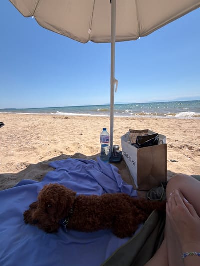 This is a vertical, eye-level medium shot of a beach scene in Portes, Greece. The image captures a relaxed day at the beach. In the foreground, a small, fluffy brown dog lies on a purple towel under a large, light-colored umbrella, providing shade. The umbrella pole is visible, attached to the umbrella with a white clip. Beside the dog, a bottle of "DEE" brand water rests on the sand. A brown canvas bag with "PHI-LI-SA" printed in white is placed next to the bottle, containing some items.

Further back, the sandy beach stretches to the sea, where gentle waves are breaking on the shore. The water is a clear, blue-green. In the upper right of the frame, a person's legs and hands are visible, suggesting they are sitting or lounging on the beach. The person is wearing a bracelet with colorful floral charms. The sky is a clear, bright blue, indicating a sunny day, likely mid-morning or early afternoon. The overall mood is one of tranquility and leisure.