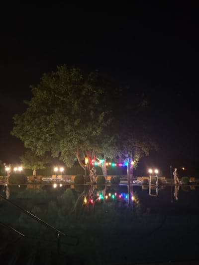 The image captures a nighttime scene at a resort or hotel in Schwangau, Germany, likely near a swimming pool. A large, mature tree with lush foliage dominates the left side of the frame, its branches illuminated by a string of colorful lights (red, green, blue, yellow). Beneath the tree, a statue of two figures embracing is visible, also lit by the colorful lights.
In the background, several lampposts with warm, yellow lights are strategically placed, illuminating loungers and other seating areas. Another statue, appearing to be a lone standing figure, is situated to the right, its form silhouetted against the night. The foreground features a dark, reflective surface, likely a swimming pool, with the lights and the tree's reflection creating a vibrant, distorted display on the water. A metal handrail for pool access is visible in the lower left corner. The overall atmosphere is one of tranquil nighttime relaxation, enhanced by the festive lighting.
