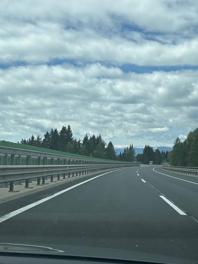 The image depicts a view from a vehicle traveling on a highway near Unterauerling, Austria. The road is asphalt with white lane markings. A metal guardrail runs along the side of the road. Adjacent to the road is a line of tall evergreen trees. In the distance, snow-capped mountains are visible. The sky is cloudy with patches of blue.