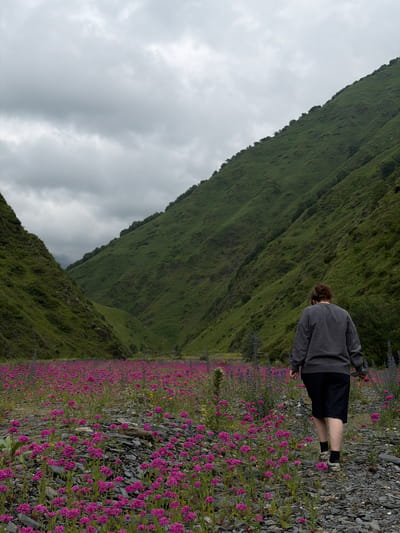 A person walks through a rocky riverbed covered in a dense field of small, pink flowers, with the steep, green slopes of a valley rising on either side. The sky is overcast and cloudy, casting a diffused light on the scene. The person is viewed from behind and is wearing a dark gray sweatshirt and a dark skirt. The person's feet are visible, wearing black and white sneakers. The valley floor is rocky, with the pink flowers growing amongst the stones. In the distance, the valley narrows and the green slopes become more prominent. The location is identified as Karkucha, Georgia.