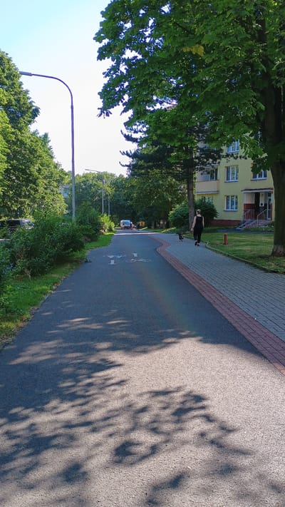 A woman in a black tank top and black leggings walks a small black dog on a leash on a paved sidewalk. The sidewalk is bordered by a wavy bike path. Trees and green bushes line the left side of the path, and a light yellow apartment building is visible on the right. A streetlamp stands tall on the left, and the sky is clear and bright blue. The scene appears to be in a park or residential area in Sokolov, Czechia.