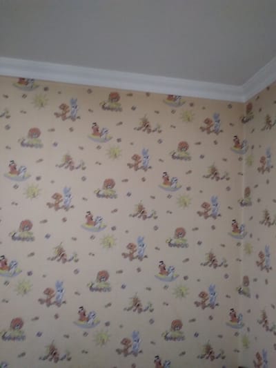 The image shows a light-colored wallpaper with a repeating pattern of cartoon animals, likely in a child's room. The animals are depicted on rocking toys, with some also featuring suns and other small decorative elements. The wallpaper covers the walls of a room, meeting a white crown molding at the top of the wall, which then transitions to a plain white ceiling. The lighting appears to be artificial, casting a soft glow on the wallpaper. This scene is likely located in the city of Khujand, Tajikistan.