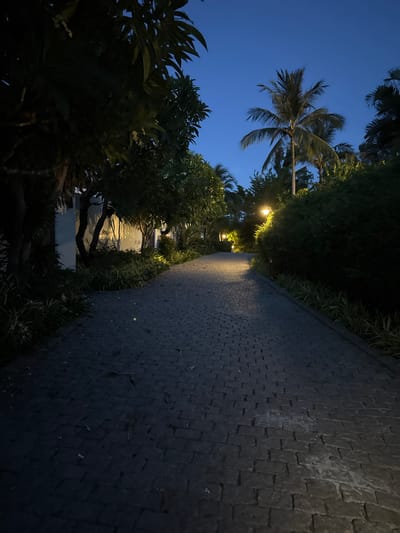 The image depicts a paved pathway at dusk in Cam Lâm, Vietnam. The pathway, made of dark cobblestones, curves to the right and is illuminated by several overhead lights, casting a warm glow on the stones and surrounding greenery.

On the left side of the pathway, lush tropical vegetation thrives, including palm trees with their fronds silhouetted against the deepening blue sky. Various trees and bushes with dense foliage line the path, some with small white flowers. Hints of white structures, possibly buildings or walls, are visible amongst the trees.

The time of day is clearly evening, with the sky transitioning from twilight blues to a darker hue. The lighting suggests the transition from daylight to night, with artificial lights beginning to illuminate the area. The overall mood is peaceful and serene, characteristic of a tropical evening. No people or specific activities are visible, suggesting a quiet, perhaps resort-like, setting. The location context of Cam Lâm, Vietnam, is consistent with the tropical flora observed in the image.