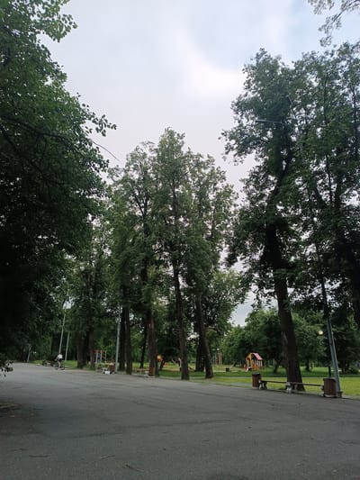 This image captures a park scene in Nevyansk, Russia, under an overcast sky, suggesting a cloudy or possibly late afternoon day. The foreground features a paved pathway that curves into the distance, bordered by lush green grass and mature trees with dense foliage. Several park benches are visible along the path, some with trash receptacles.

In the middle ground, a playground with colorful equipment, including a slide and climbing structures, is nestled amongst the trees. A few individuals can be spotted in the park. On the left, a person is riding a bicycle along the pathway. Further into the park, two individuals are seated on a bench. Another person is partially visible on the far right. The presence of tall trees, a playground, and park amenities suggests a public recreational area. The overall atmosphere appears calm and serene. No visible text is present in the image.