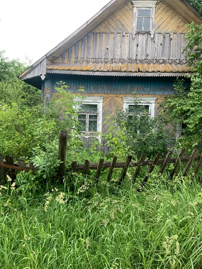 This is a medium-shot, eye-level, vertical photograph of an abandoned, weathered wooden house, possibly in the village of Блеўчыцкі сельскі Савет, Belarus. The house is partially obscured by dense, overgrown green vegetation, including tall grasses, bushes, and trees. The house itself has a steeply pitched roof with mossy, yellowed shingles. The facade is constructed of vertical wooden planks, painted yellow and blue, with peeling paint and evidence of age and decay. There are two windows visible on the lower story, each with white-painted wooden frames, that appear to be covered with a sheer, patterned curtain. Above these, there is a smaller, square window set into the gable. Decorative wooden trim, featuring a zigzag pattern and small diamond shapes, runs along the eaves and above the windows. In front of the house is a dilapidated, low wooden fence, made of rough-hewn posts and horizontal planks, also weathered and in disrepair. The ground is covered in a thick layer of tall, green grass with some flowering weeds. The sky is overcast and white. The overall impression is one of neglect and nature reclaiming the property.