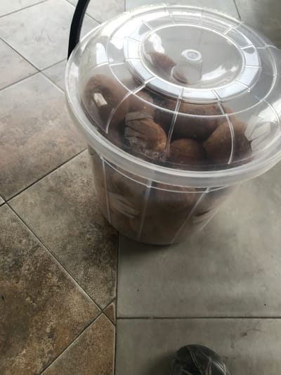 A clear plastic bucket, approximately 10-15 liters in volume, containing numerous brown, oval-shaped fried dough items, rests on a tiled floor. The bucket is sealed with a transparent plastic lid featuring a central knob and radiating structural patterns. A black handle for the bucket is partially visible on the left side. The floor is composed of two distinct sections of square tiles: mottled brown-beige tiles on the left and top-left, and plain grey tiles on the right and bottom-right, meeting diagonally across the frame. The tip of a dark grey, patterned shoe is visible in the bottom right corner of the image. No specific identifying markers are present in the image to confirm the location as Calabar, Nigeria.