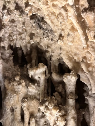 This image shows a close-up view of a light-colored, porous rock formation within the Caves of Drach (Cuevas del Drach), located in Manacor, Spain. The rock exhibits intricate, irregular patterns with numerous small holes and protrusions. The overall color is a creamy off-white, with variations in tone. Dark crevices are visible, creating depth and shadows within the formation.