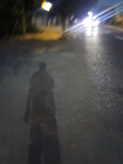 The image depicts a blurred, low-light scene of a street at night. A prominent feature is the shadow of a person on the asphalt in the foreground, cast from the left. The shadow is elongated and appears to be of a person wearing a long garment. In the background, headlights from an approaching vehicle create bright streaks of light on the road, illuminating the wet asphalt. The overall scene suggests a street in an urban or suburban area, likely in Taraz city, Kazakhstan, given the provided location context. The time of day is clearly night, and the presence of wet surfaces could indicate recent rain or mist. The mood is somewhat eerie due to the darkness and the distorted, shadowy figure. There is no visible text in the image.