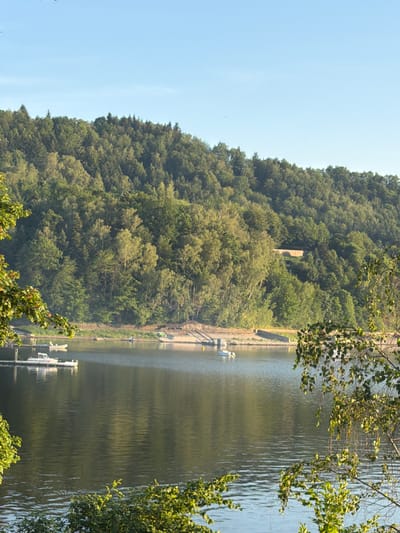 The image shows a serene landscape with a body of water in the foreground and a lush, forested hill in the background. The water reflects the clear blue sky and the green foliage. Several small boats are visible on the water, some near a dock. The hillside is densely covered with trees, creating a textured green mass. The lighting suggests it is either early morning or late afternoon, with soft sunlight illuminating the scene. The location is identified as Lipie, Poland.