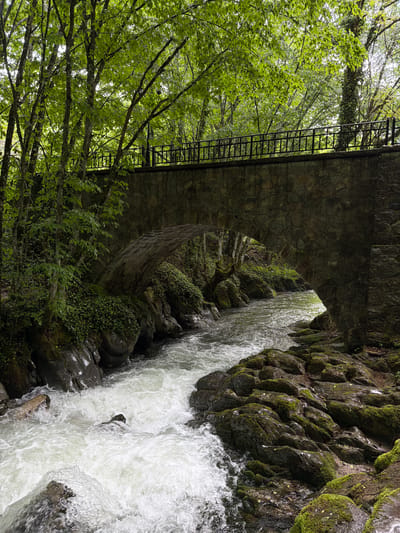 The image shows a stone bridge over a rushing river in Ribaritsa, Bulgaria. The river flows rapidly between mossy rocks and under the bridge. Trees with green leaves line the left side of the image, partially obscuring the bridge’s structure. A ladder is attached to the bridge. The scene appears to be set in a natural, wooded area.