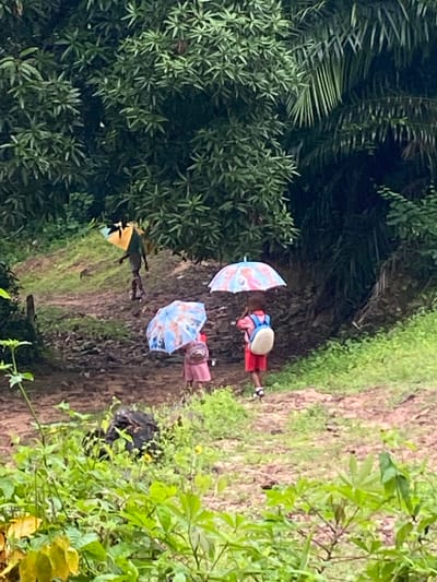 In a rural setting outside Ufu Esioni, Nigeria, two young children walk along a muddy path under umbrellas. The child in the foreground, wearing a pink dress and red shorts, carries a blue and white patterned umbrella and a white backpack. To the left, another child, wearing a pink dress, also holds a blue and white patterned umbrella and a backpack. Further up the path, a third figure, possibly an older child or adult, walks away from the camera, holding a yellow and green umbrella. Lush green trees and foliage surround the path, suggesting a humid, tropical environment. The ground is uneven and appears wet, indicating recent rainfall. The overall scene depicts children navigating their environment, likely on their way to or from school, during inclement weather.